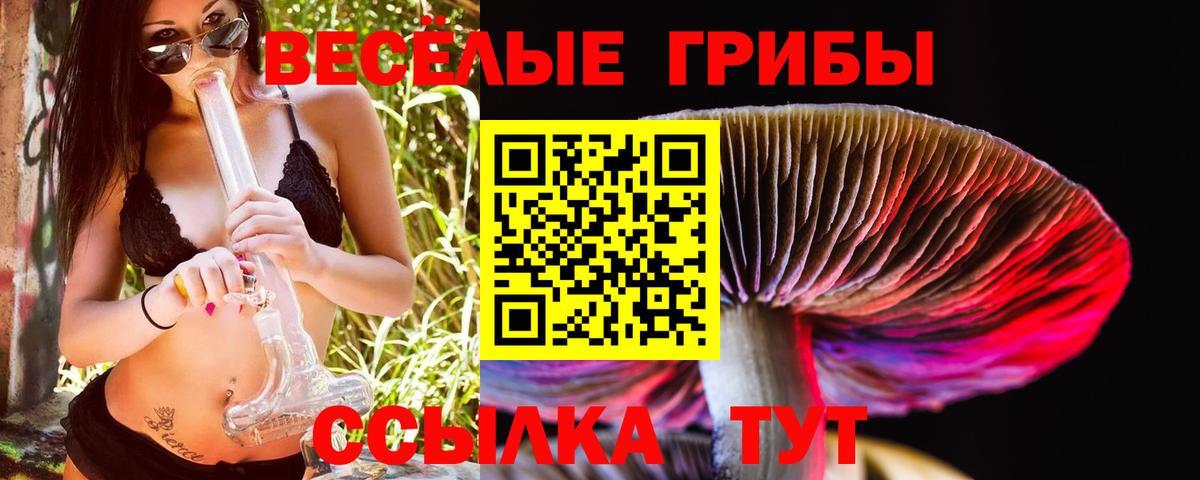 Реутов  Псилоцибиновые грибы мухоморы  Псилоцибиновые грибы мухоморы  Вход с VPN 
