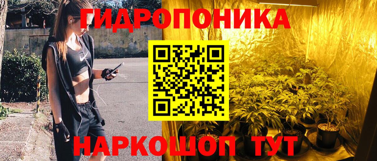 Шишки марихуана план Реутов